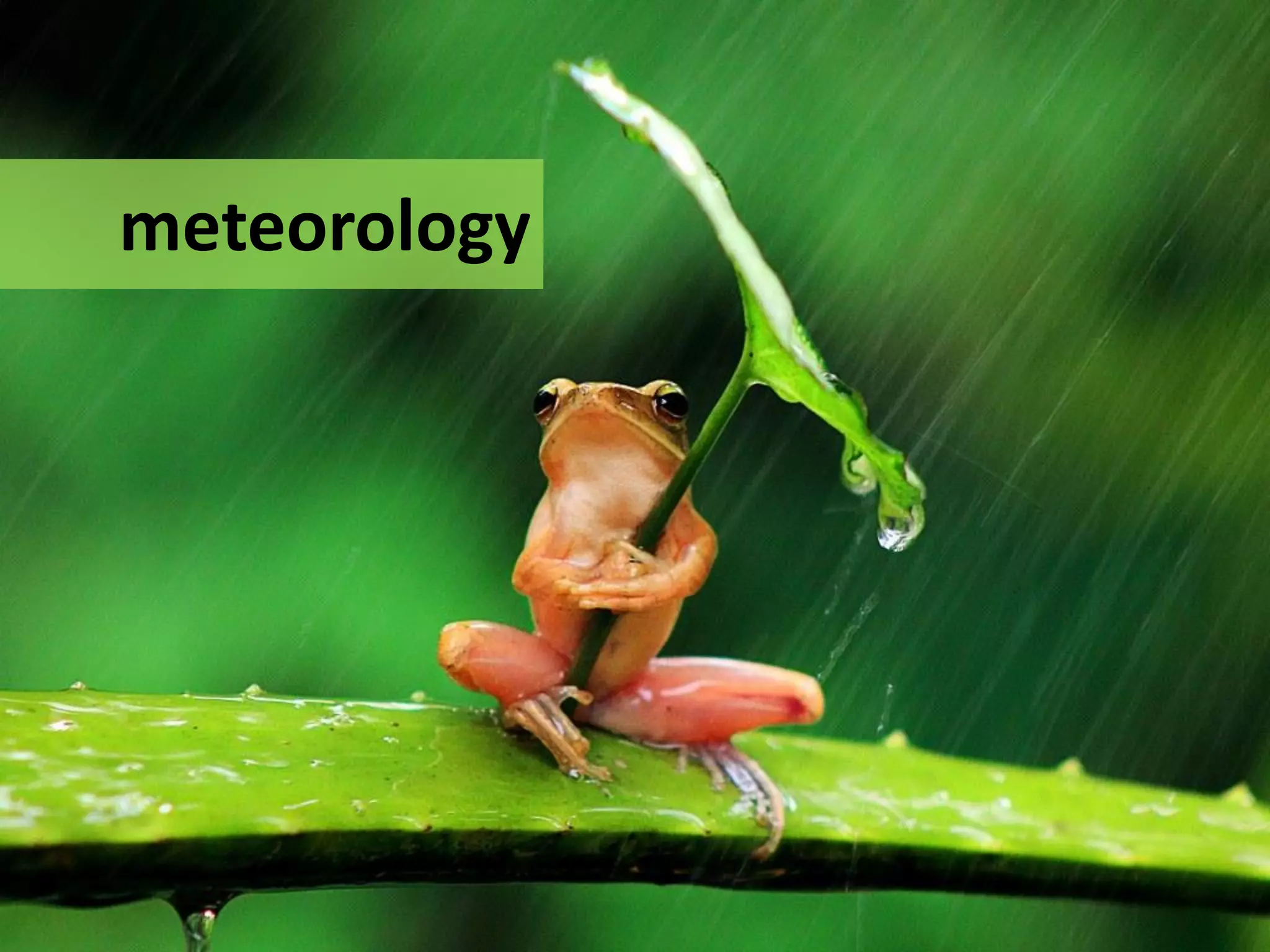 meteorology
 