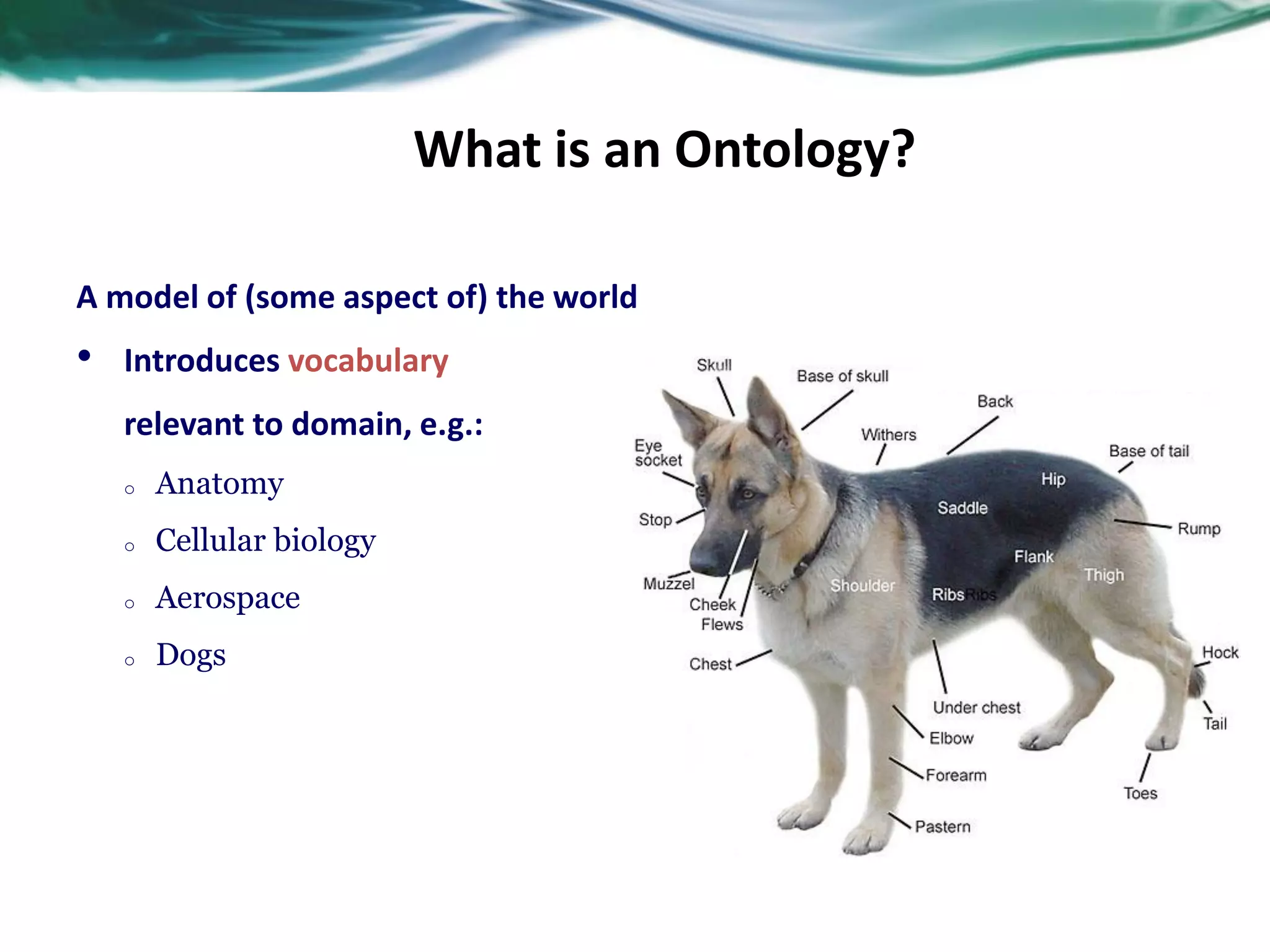 What is an Ontology?
A model of (some aspect of) the world
• Introduces vocabulary
relevant to domain, e.g.:
o Anatomy
o Cellular biology
o Aerospace
o Dogs
 