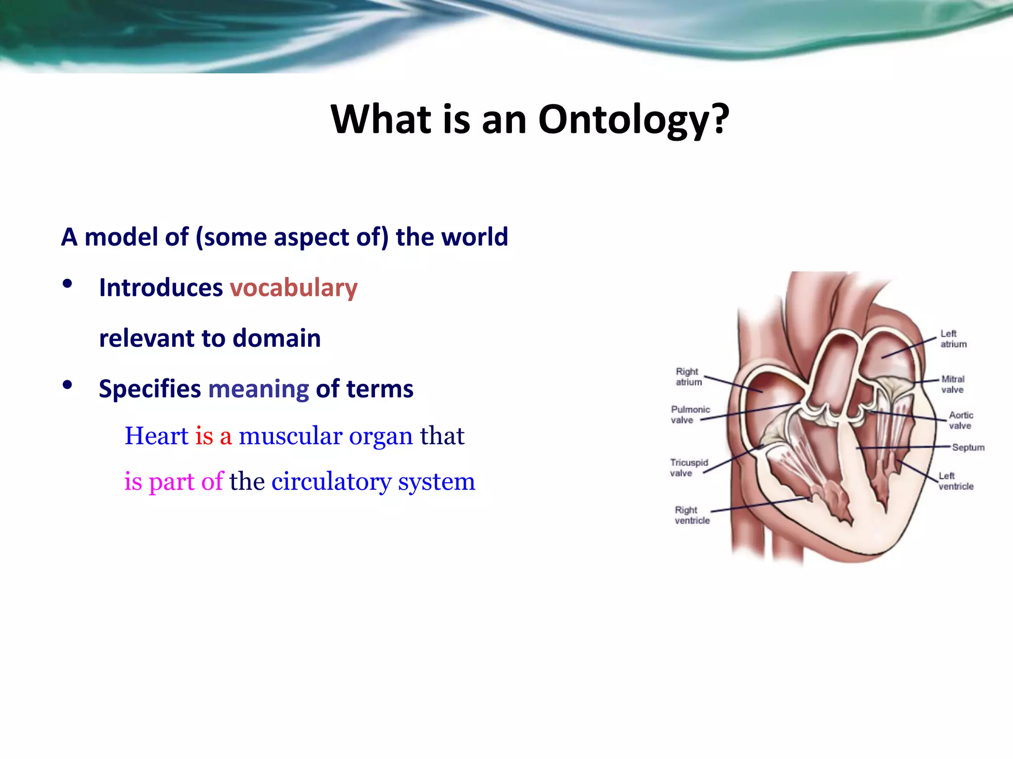 What is an Ontology?
A model of (some aspect of) the world
• Introduces vocabulary
relevant to domain
• Specifies meaning of terms
Heart is a muscular organ that
is part of the circulatory system
 