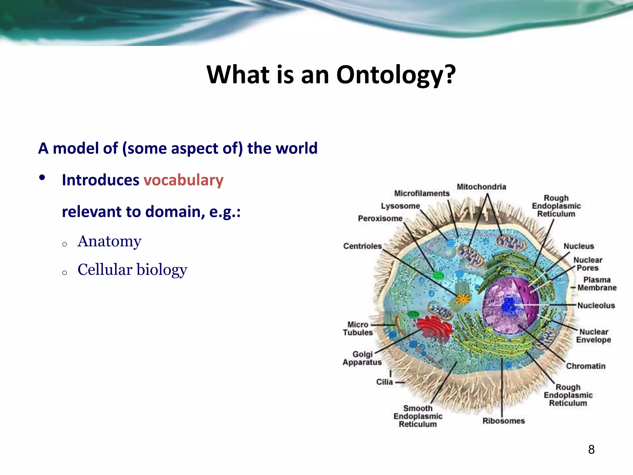 8
What is an Ontology?
A model of (some aspect of) the world
• Introduces vocabulary
relevant to domain, e.g.:
o Anatomy
o Cellular biology
 