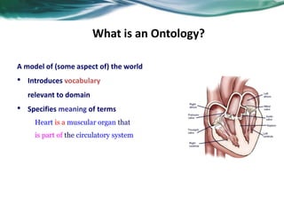 What is an Ontology?
A model of (some aspect of) the world
• Introduces vocabulary
relevant to domain
• Specifies meaning ...