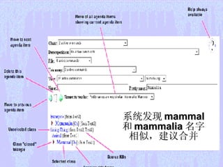 系统发现 mammal  和 mammalia 名字相似，建议合并 