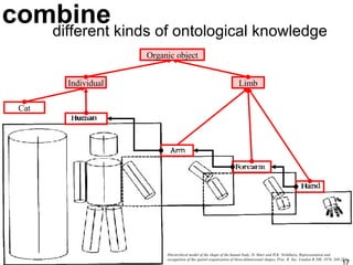 combine different kinds of ontological knowledge Hierarchical model of the shape of the human body. D. Marr and H.K. Nishihara, Representation and recognition of the spatial organization of three-dimensional shapes, Proc. R. Soc. London B 200, 1978, 269-294). Limb Individual Cat Organic object 