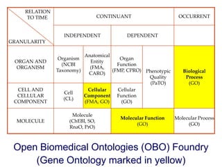 RELATION
TO TIME
GRANULARITY
CONTINUANT OCCURRENT
INDEPENDENT DEPENDENT
ORGAN AND
ORGANISM
Organism
(NCBI
Taxonomy)
Anatomical
Entity
(FMA,
CARO)
Organ
Function
(FMP, CPRO) Phenotypic
Quality
(PaTO)
Biological
Process
(GO)
CELL AND
CELLULAR
COMPONENT
Cell
(CL)
Cellular
Component
(FMA, GO)
Cellular
Function
(GO)
MOLECULE
Molecule
(ChEBI, SO,
RnaO, PrO)
Molecular Function
(GO)
Molecular Process
(GO)
Open Biomedical Ontologies (OBO) Foundry
(Gene Ontology marked in yellow)
 