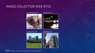 IMAGE COLLECTION WEB SITES
animalphotos.info carpictures.cc
ny-pictures.com ookaboo.com
Thanks: Javier Lastras, Eric Castro ,Zero One, Heurig
 
