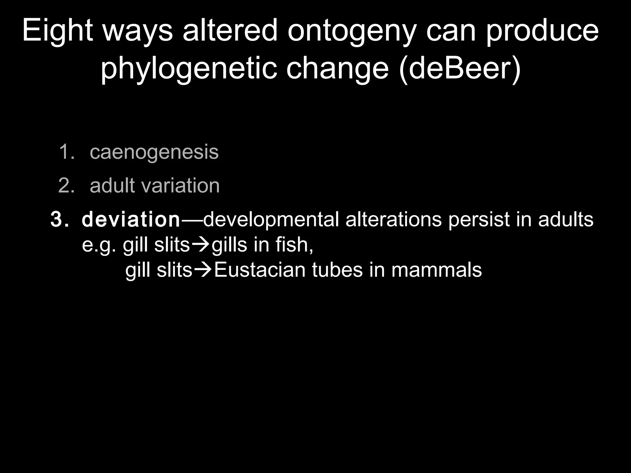 Eight ways altered ontogeny can produce
phylogenetic change (deBeer)
1. caenogenesis
2. adult variation
3. deviation—developmental alterations persist in adults
e.g. gill slitsgills in fish,
gill slitsEustacian tubes in mammals
 