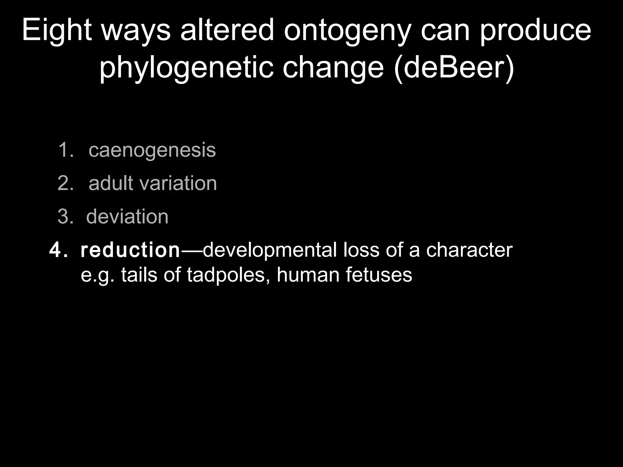 Eight ways altered ontogeny can produce
phylogenetic change (deBeer)
1. caenogenesis
2. adult variation
3. deviation
4. reduction—developmental loss of a character
e.g. tails of tadpoles, human fetuses
 