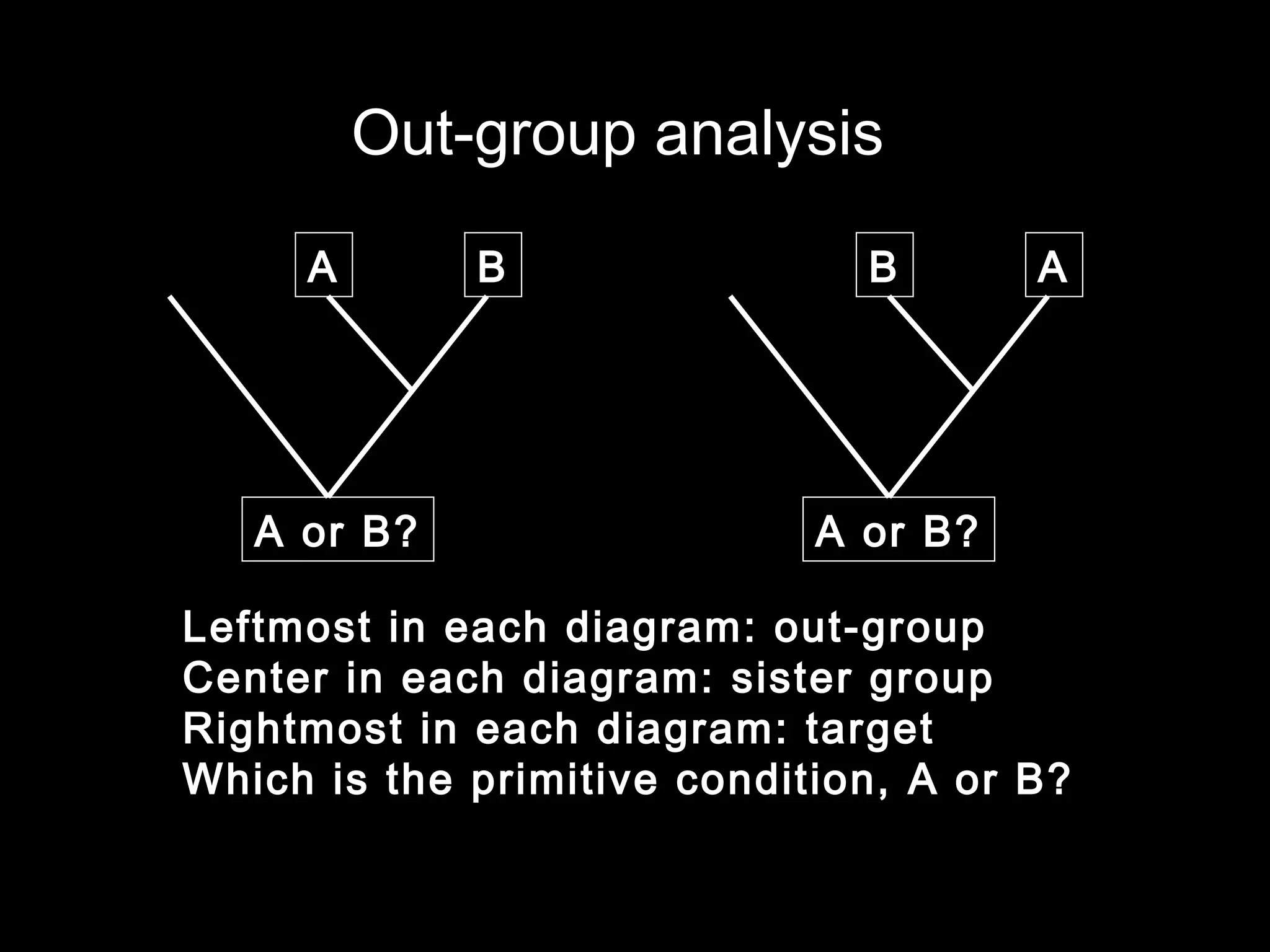 A B B A
Leftmost in each diagram: out-group
Center in each diagram: sister group
Rightmost in each diagram: target
Which is the primitive condition, A or B?
Out-group analysis
A or B? A or B?
 