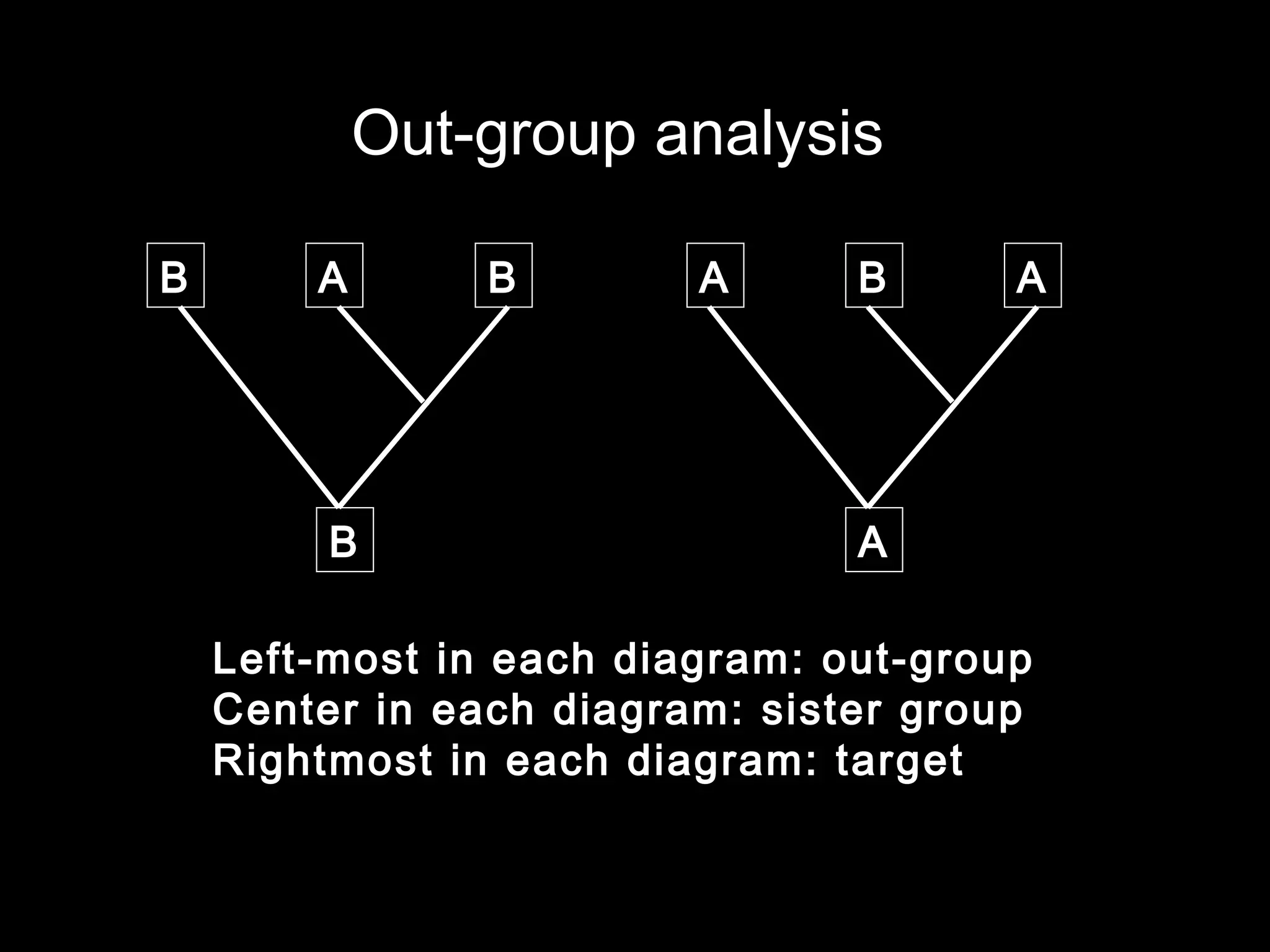 B A B
Left-most in each diagram: out-group
Center in each diagram: sister group
Rightmost in each diagram: target
Out-group analysis
B
A B A
A
 