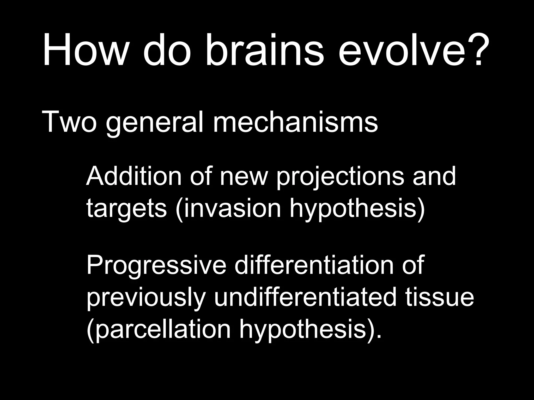 How do brains evolve?
Two general mechanisms
Addition of new projections and
targets (invasion hypothesis)
Progressive differentiation of
previously undifferentiated tissue
(parcellation hypothesis).
 
