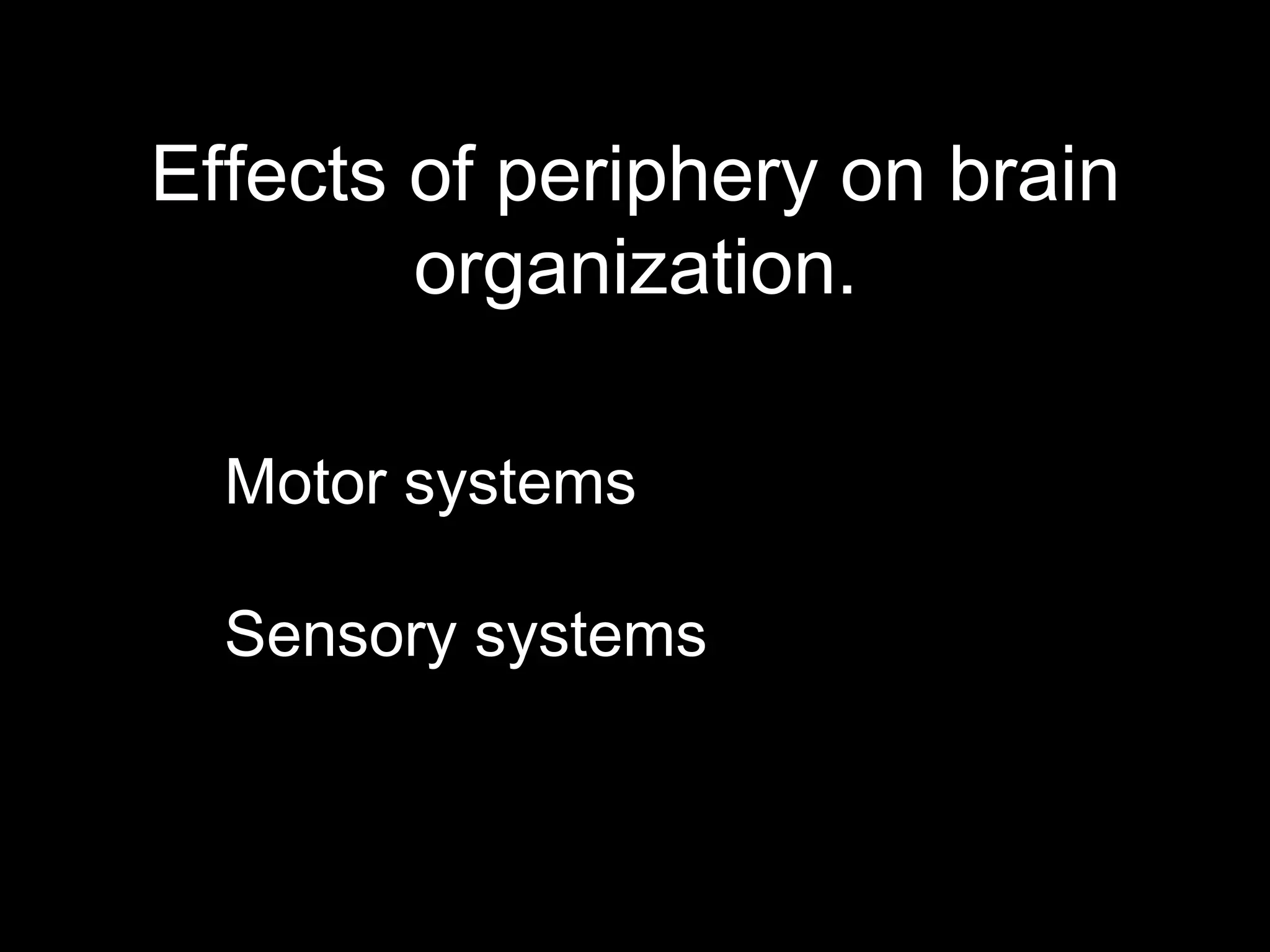 Effects of periphery on brain
organization.
Motor systems
Sensory systems
 