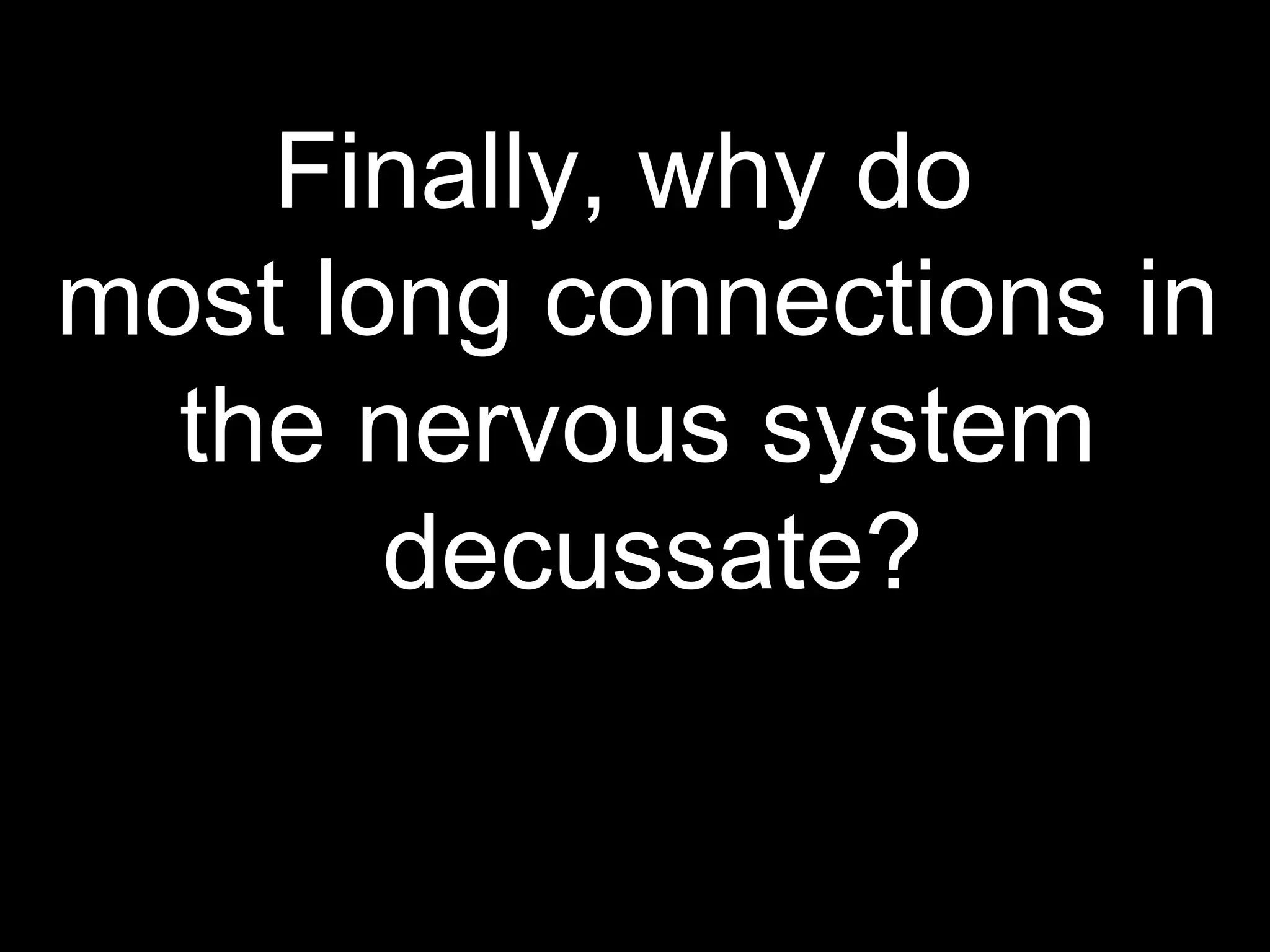 Finally, why do
most long connections in
the nervous system
decussate?
 