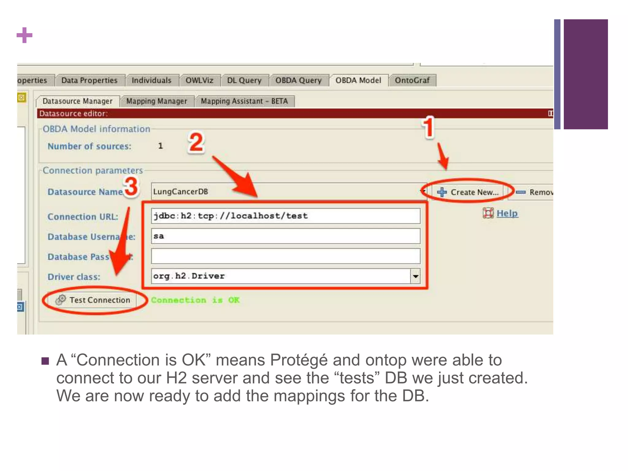 +
 A “Connection is OK” means Protégé and ontop were able to
connect to our H2 server and see the “tests” DB we just created.
We are now ready to add the mappings for the DB.
 