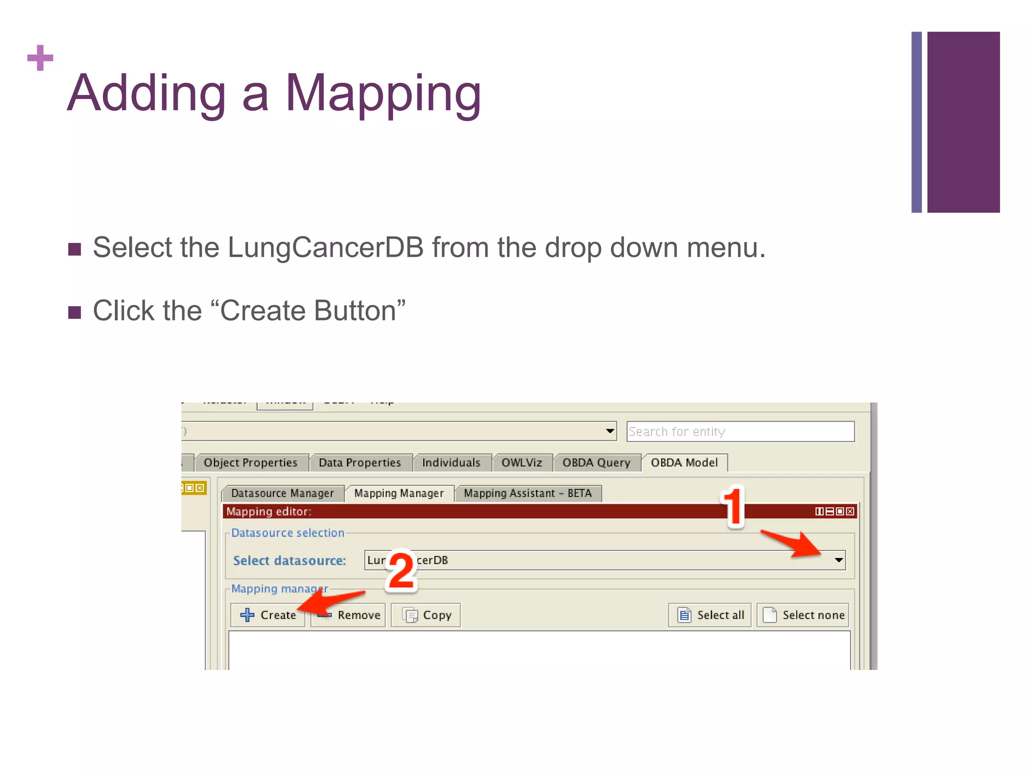 +
Adding a Mapping
 Select the LungCancerDB from the drop down menu.
 Click the “Create Button”
 