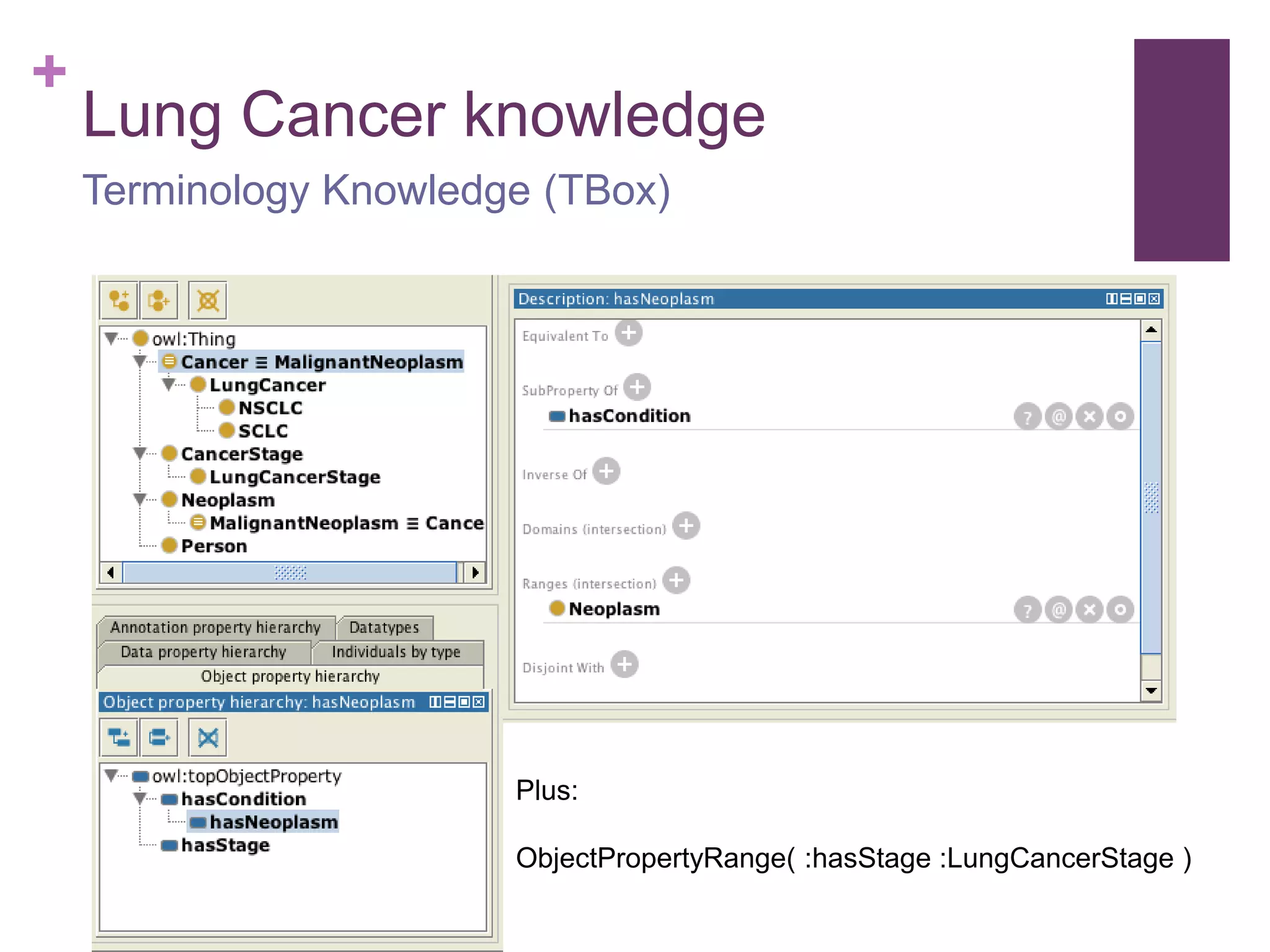 +
Lung Cancer knowledge
Terminology Knowledge (TBox)
Plus:
ObjectPropertyRange( :hasStage :LungCancerStage )
 
