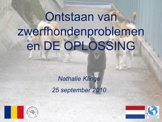 Ontstaan van zwerfhondenproblemen en DE OPLOSSING Nathalie Klinge 25 september 2010 1 