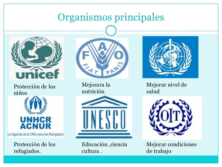 La Organización de las Naciones Unidas