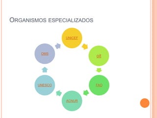 ORGANISMOS ESPECIALIZADOS

                 UNICEF



         OMS
                            oit




        UNESCO              FAO



                 ACNUR
 