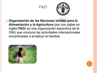 FAO


   Organización de las Naciones Unidas para la
    Alimentación y la Agricultura (por sus siglas en
    inglés FAO) es una organización específica de la
    ONU que conduce las actividades internacionales
    encaminadas a erradicar el hambre.
 