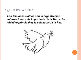 1¿QUÉ ES LA ONU?
 Las Naciones Unidas son la organización
 internacional más importante de la Tierra. Su
 objetivo principal es la salvaguarda la Paz.
 