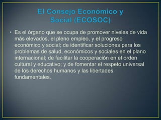 • Es el órgano que se ocupa de promover niveles de vida
más elevados, el pleno empleo, y el progreso
económico y social; de identificar soluciones para los
problemas de salud, económicos y sociales en el plano
internacional; de facilitar la cooperación en el orden
cultural y educativo; y de fomentar el respeto universal
de los derechos humanos y las libertades
fundamentales.
 