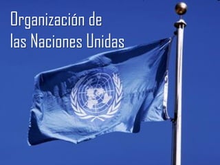Organización de
las Naciones Unidas
 