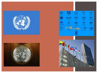 ONU BRYAN BANEGAS 11B 