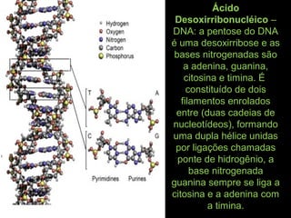 Ácido
Desoxirribonucléico –
DNA: a pentose do DNA
é uma desoxirribose e as
bases nitrogenadas são
a adenina, guanina,
citosina e timina. É
constituído de dois
filamentos enrolados
entre (duas cadeias de
nucleotídeos), formando
uma dupla hélice unidas
por ligações chamadas
ponte de hidrogênio, a
base nitrogenada
guanina sempre se liga a
citosina e a adenina com
a timina.
 