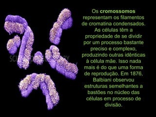 Os cromossomos
representam os filamentos
de cromatina condensados.
As células têm a
propriedade de se dividir
por um processo bastante
preciso e complexo,
produzindo outras idênticas
à célula mãe. Isso nada
mais é do que uma forma
de reprodução. Em 1876,
Balbiani observou
estruturas semelhantes a
bastões no núcleo das
células em processo de
divisão.
 