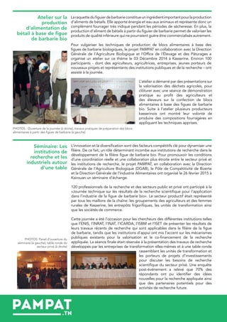 Laraquettedufiguierdebarbarieconstitueuningrédientimportantpourlaproduction
d’aliments de bétails. Elle apporte énergie et eau aux animaux et représente donc un
complément fourrager très indiqué pendant les périodes de sècheresse. En plus, la
production d’aliment de bétails à partir du figuier de barbarie permet de valoriser les
produits de qualité inférieure qui ne pourraient guère être commercialisés autrement.
Pour vulgariser les techniques de production de blocs alimentaires à base des
figues de barbarie biologiques, le projet PAMPAT en collaboration avec la Direction
Générale de l’Agriculture Biologique et l’Office de l’Élevage et des Pâturages a
organisé un atelier sur ce thème le 03 Décembre 2014 à Kasserine. Environ 100
participants - dont des agriculteurs, agricultrices, entreprises, jeunes porteurs de
nouveaux projets et représentants des institutions publiques et de la recherche – ont
assisté à la journée.
L’innovation et la diversification sont des facteurs compétitifs clé pour dynamiser une
filière. De ce fait, un rôle déterminant incombe aux institutions de recherche dans le
développement de la filière figue de barbarie bio. Pour promouvoir les conditions
d’une coordination réelle et une collaboration plus étroite entre le secteur privé et
les institutions de recherche, le projet PAMPAT, en collaboration avec la Direction
Générale de l’Agriculture Biologique (DGAB), le Pôle de Compétitivité de Bizerte
et la Direction Générale de l’Industrie Alimentaires ont organisé le 26 février 2015 à
Kairouan un séminaire d’échange.
120 professionnels de la recherche et des secteurs public et privé ont participé à la
«Journée technique sur les résultats de la recherche scientifique pour l’application
dans l’industrie de la figue de barbarie bio». Le secteur productif était représenté
par tous les maillons de la chaîne: les groupements des agriculteurs et des femmes
rurales de Kasserine, les entrepôts frigorifiques, les unités de transformation ainsi
que les sociétés de commerce.
Cette journée a été l’occasion pour les chercheurs des différentes institutions telles
que l’ENIS, l’INRAT, l’INAT, l’ICARDA, l’ISBM et l’ISET de présenter les résultats de
leurs travaux récents de recherche qui sont applicables dans la filière de la figue
de barbarie, tandis que les institutions d’appui ont mis l’accent sur les mécanismes
publiques existants pour la valorisation et le co-financement de la recherche
appliquée. La séance finale était réservée à la présentation des travaux de recherche
développés par les entreprises de transformation elles-mêmes et à une table ronde
Atelier sur la
production
d’alimentation de
bétail à base de figue
de barbarie bio
Séminaire: Les
institutions de
recherche et les
industriels autour
d’une table
PHOTOS : Ouverture de la journée (à droite); travaux pratiques de préparation des blocs
alimentaires à partir des figues de barbarie (à gauche)
PHOTOS: Panel d’ouverture du
séminaire (à gauche); table ronde du
secteur privé (à droite)
L’atelier a démarré par des présentations sur
la valorisation des déchets agricoles, pour
clôturer avec une séance de démonstration
pratique au profit des agriculteurs et
des éleveurs sur la confection de blocs
alimentaires à base des figues de barbarie
bio. Suite à l’atelier plusieurs producteurs
kasserinois ont montré leur volonté de
produire des compositions fourragères en
appliquant les techniques apprises.
rassemblant les unités de transformation et
les porteurs de projets d’investissements
pour discuter les besoins de recherche
scientifique du secteur privé. Une enquête
post-événement a relevé que 70% des
répondants ont pu identifier des idées
nouvelles pour la recherche appliquée ainsi
que des partenaires potentiels pour des
activités de recherche future.
 