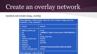 Create an overlay network
neutron net-create onug_overlay
 
