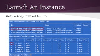 Launch An Instance
Find your image UUID and flavor ID
 