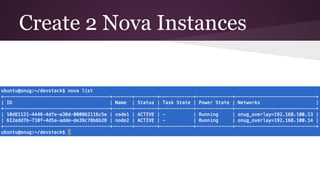 Create 2 Nova Instances
 