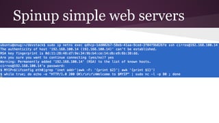 Spinup simple web servers
 