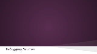 Debugging Neutron
 