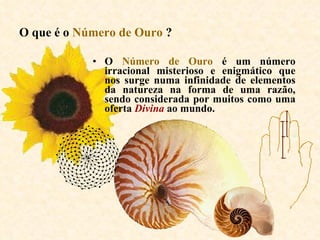 O que é o   Número de Ouro   ?   O  Número de Ouro  é um número irracional misterioso e enigmático que nos surge numa infinidade de elementos da natureza na forma de uma razão, sendo considerada por muitos como uma oferta  Divina  ao mundo.  