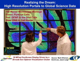 Realizing the Dream: High Resolution Portals to Global Science Data 30 MPixel SunScreen Display Driven by a 20-node Sun Opteron Visualization Cluster Source: Mark Ellisman, David Lee, Jason Leigh 150 Mpixel Microscopy Montage Green: Purkinje Cells Red: GFAP in the Glial Cells Blue: DNA in Cell Nuclei 