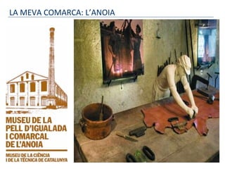 LA MEVA COMARCA: L’ANOIA
 