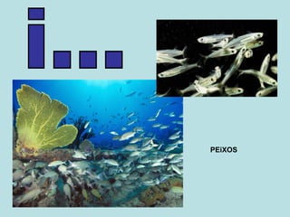 i... PEiXOS 