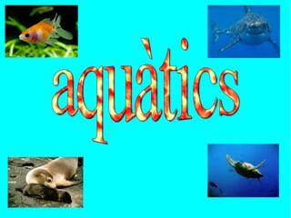 aquàtics 