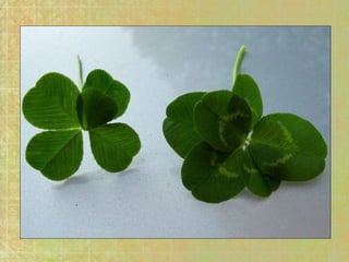 On voit pas ça tous les jours