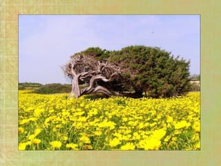 On voit pas ça tous les jours