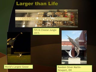 Larger than Life725 lb Cheese-Jungle Jim’s World’s Largest GooseRandom Silver Marlin-Newport, OH