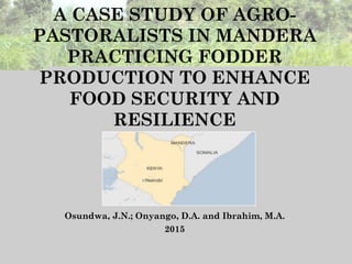 A CASE STUDY OF AGRO-
PASTORALISTS IN MANDERA
PRACTICING FODDER
PRODUCTION TO ENHANCE
FOOD SECURITY AND
RESILIENCE
Osundwa, J.N.; Onyango, D.A. and Ibrahim, M.A.
2015
 