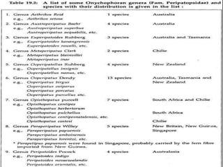 Onychophora A detailed note