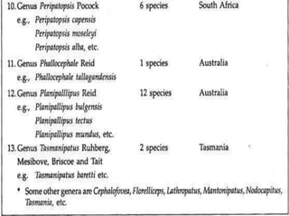 Onychophora A detailed note