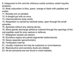 9. Integument is thin and the chitinous cuticle contains varied ring-like
striations.
10. Body colouration is blue, green, orange or black with papillae and
scales.
11. Muscles are un-striated.
12. A straight gut with an anus.
13. Haemocoelomic body cavity.
14. Respiration is carried by tracheal tubes, open through the small
spiracles.
15. Spiracles without any closing devise.
16. Slime glands discharge adhesive material through the openings of the
oral papillae used for prey capture or defence.
17. Malpighian tubules are absent.
18. Excretory organs are paired segmental coelomoducts.
19. Sexes separate (gonochoristic).
20. Fertilization internal.
21. Usually viviparous but may be oviparous or ovoviviparous.
22. Reproductive and excretory ducts are ciliated.
23. All are terrestrial and are found in moist habitats.
 