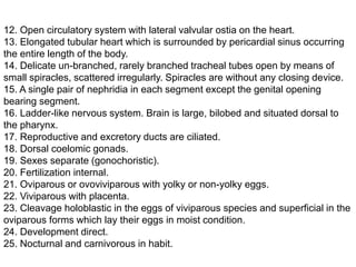12. Open circulatory system with lateral valvular ostia on the heart.
13. Elongated tubular heart which is surrounded by pericardial sinus occurring
the entire length of the body.
14. Delicate un-branched, rarely branched tracheal tubes open by means of
small spiracles, scattered irregularly. Spiracles are without any closing device.
15. A single pair of nephridia in each segment except the genital opening
bearing segment.
16. Ladder-like nervous system. Brain is large, bilobed and situated dorsal to
the pharynx.
17. Reproductive and excretory ducts are ciliated.
18. Dorsal coelomic gonads.
19. Sexes separate (gonochoristic).
20. Fertilization internal.
21. Oviparous or ovoviviparous with yolky or non-yolky eggs.
22. Viviparous with placenta.
23. Cleavage holoblastic in the eggs of viviparous species and superficial in the
oviparous forms which lay their eggs in moist condition.
24. Development direct.
25. Nocturnal and carnivorous in habit.
 