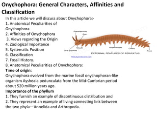 In this article we will discuss about Onychophora:-
1. Anatomical Peculiarities of
Onychophora
2. Affinities of Onychophora
3. Views regarding the Origin
4. Zoological Importance
5. Systematic Position
6. Classification
7. Fossil History.
8. Anatomical Peculiarities of Onychophora:
Time of origin:
Onychophora evolved from the marine fossil onychophoran-like
organism Aysheaia pedunculata from the Mid-Cambrian period
about 520 million years ago.
Importance of the phyllum
1. They furnish an example of discontinuous distribution and
2. They represent an example of living connecting link between
the two phyla—Annelida and Arthropoda.
Onychophora: General Characters, Affinities and
Classification
 