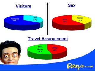 Visitors Sex Travel Arrangement 
